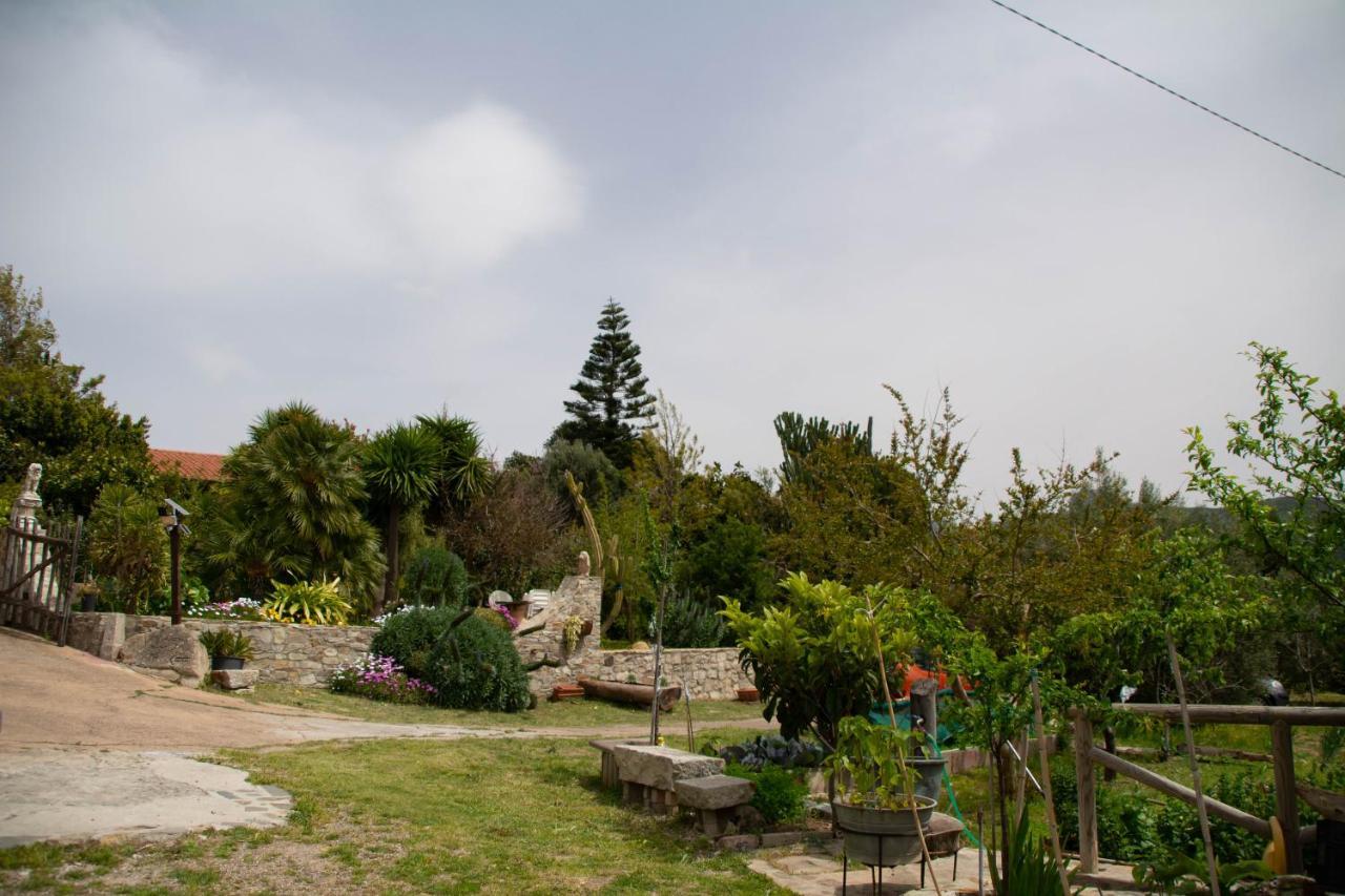 B&B Il Giardino Arbus Eksteriør billede